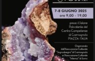 “Mineral Carmagnola, 1° Edizione, Minerali & Fossili” 2025