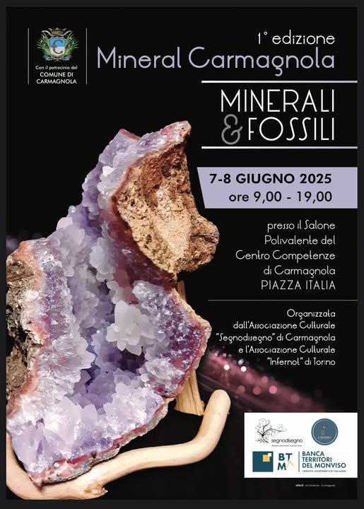 “Mineral Carmagnola, 1° Edizione, Minerali & Fossili” 2025